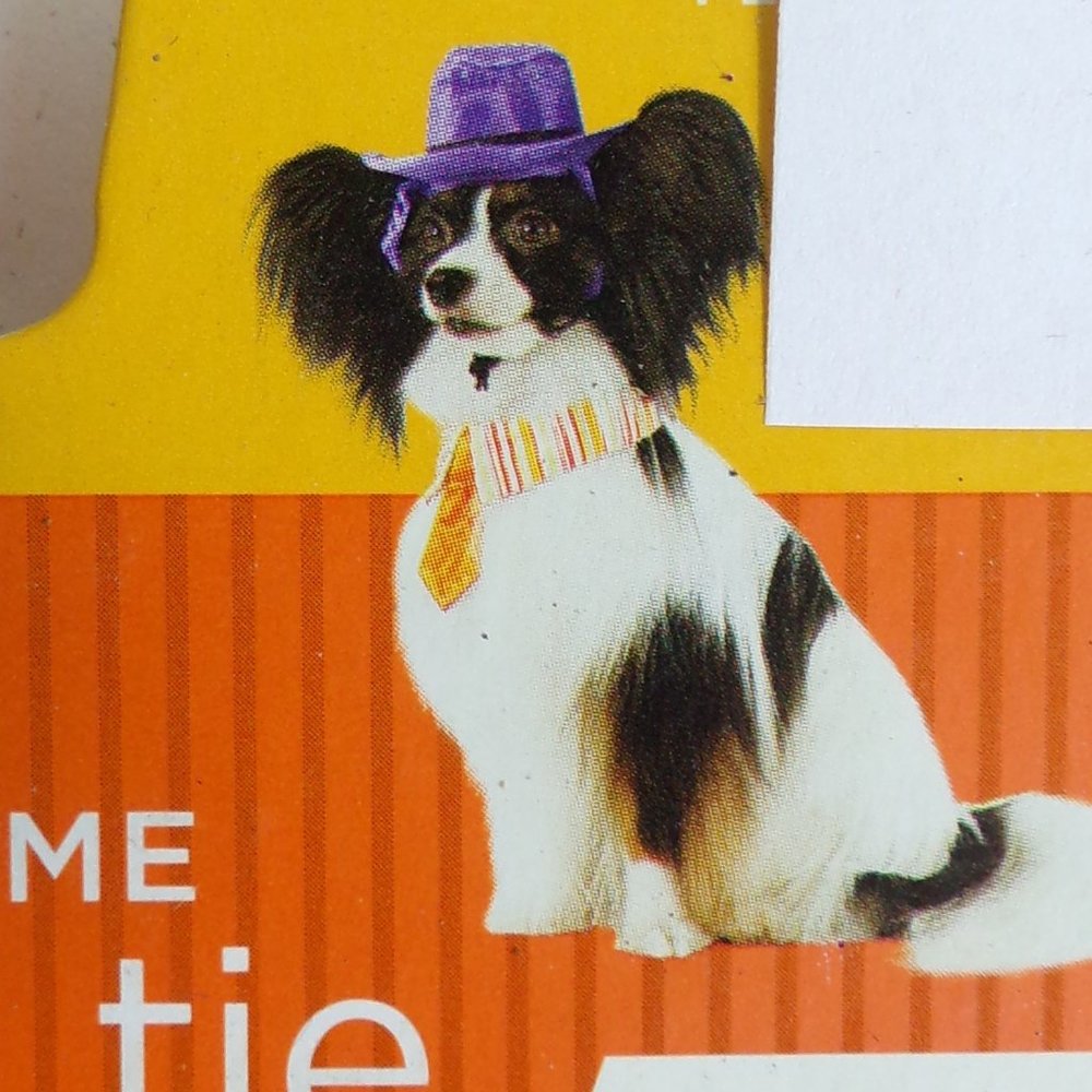 Halloween Dog Costume Hat & Tie Size S  5 - 15 lbs